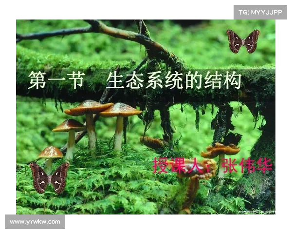 蝴蝶平原的自然奇观五大亮点揭示生态之美与生物多样性 蝴蝶平原的自然奇观五大亮点揭示生态之美与生物多样性